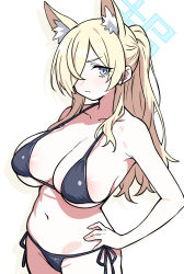Rule 34 | 1girl, alternate costume, animal ear fluff, animal ears, areola slip, bikini, black bikini, blonde hair, blue archive, blue eyes, blue halo, blush, breasts, closed mouth, collarbone, commentary, cowboy shot, dog ears, dog girl, drop shadow, ecgg (tsuji418477), extra ears, from side, frown, hair over one eye, halo, hand on own hip, highres, kanna (blue archive), large breasts, long hair, looking at viewer, micro bikini, navel, paid reward available, ponytail, side-tie bikini bottom, sidelocks, simple background, solo, standing, stomach, strap gap, swimsuit, v-shaped eyebrows, white background