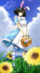 1girl :3 absurdres animal_ears antenna_hair apron basket black_hair blue_bow blue_dress blue_sky bow bow_apron breasts buttons casul cloud cloudy_sky dress easter easter_egg egg fake_animal_ears field flower flower_field frilled_skirt frilled_sleeves frills grass green_eyes hair_between_eyes hair_bow head_tilt highres holding holding_basket horizontal-striped_socks looking_to_the_side medium_breasts on_grass original outdoors shiina_mayuri short_hair short_sleeves skirt sky smile socks solo steins;gate striped_clothes striped_socks sunflower sunflower_field thighhighs white_apron white_bow