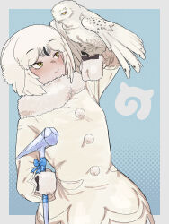 1girl absurdres animal_on_arm bird bird_girl bird_on_arm bird_wings black_hair blue_background blush coat cowboy_shot fur_trim hair_between_eyes head_wings highres ice_pick japari_symbol kemono_friends long_sleeves mittens multicolored_hair owl owl_girl short_hair sidelocks smile snowy_owl_(kemono_friends) solo tlto1910 two-tone_hair white_coat white_fur white_hair white_mittens wings winter_clothes winter_coat yellow_eyes