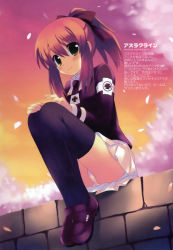 00s 1girl absurdres asura_cryin&#039; black_thighhighs blush brick_wall brown_hair character_name cherry_blossoms from_below green_eyes hair_ribbon hands_on_own_knees highres kiba_satoshi legs_together loafers long_sleeves looking_at_viewer minakami_misao miniskirt panties pantyshot petals pleated_skirt ponytail ribbon scan shoes sidelocks sitting skirt smile thighhighs underwear upskirt wall white_panties white_skirt wind yellow_eyes