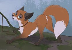 1girl animal anus black_fur branch forest fox from_side furry grass green_eyes hioshiru looking_at_viewer moss multicolored_fur nature orange_fur presenting presenting_pussy pussy rope solo tied top-down_bottom-up tree white_fur