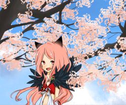 1girl animal_ears blue_sky blush cherry_blossoms clear_sky commentary_request day dress fox_ears fox_girl fur_collar long_hair looking_at_viewer meiko_(nattu303) open_mouth outdoors pink_eyes pink_hair ragnarok_online sky sleeveless sleeveless_dress smile solo sorcerer_(ragnarok_online) upper_body white_dress