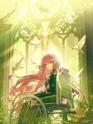 1girl arknights bird black_dress black_thighhighs blurry blurry_foreground breasts bush closed_mouth dove dress halo highres indoors large_breasts lemuen_(arknights) long_hair looking_at_viewer looking_back pink_eyes pink_hair qinglai_haiji sitting smile solo thighhighs traditional_halo very_long_hair wheelchair window wings