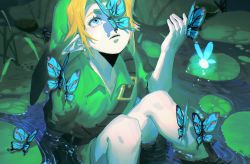 1boy blonde_hair blue_butterfly blue_eyes bug butterfly butterfly_on_hand butterfly_on_nose dele14375735 eyelashes fairy feet_out_of_frame flock from_above hand_up hat highres insect knees_up lily_pad link looking_away looking_up male_focus nature navi nintendo one_eye_covered parted_lips partially_submerged pointy_ears pond short_sleeves sitting solo_focus the_legend_of_zelda the_legend_of_zelda:_ocarina_of_time water