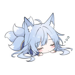 1girl animal_ear_fluff animal_ears azur_lane blue_hair blush chibi closed_eyes fox_ears fox_girl fox_tail livetarica long_hair lying multiple_tails on_stomach shinano_(azur_lane) simple_background sleeping solo tail white_background