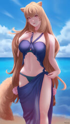 1girl animal_ears artist_name beach bikini blue_bikini blue_sarong blue_sky breasts brown_hair closed_mouth cloud cloudy_sky commentary day english_commentary eyelashes feet_out_of_frame flower foot_out_of_frame hair_between_eyes hair_flower hair_ornament hand_on_own_chest highres lips long_hair looking_at_viewer mcdobo medium_breasts navel no_tattoo ocean official_alternate_costume outdoors raccoon_ears raccoon_girl raccoon_tail raphtalia red_eyes sarong signature skindentation sky smile solo standing stomach swimsuit tail tate_no_yuusha_no_nariagari very_long_hair