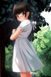 1girl black_hair blush bow brown_eyes bush dress grass looking_at_viewer matsunaga_kouyou original puffy_sleeves short_hair short_sleeves sky standing tree white_bow white_dress