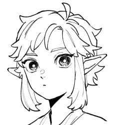 1boy closed_mouth commentary_request dot_nose frown greyscale hair_intakes link long_pointy_ears looking_at_viewer male_focus monochrome nintendo parted_bangs pointy_ears portrait simple_background solo teto_ten the_legend_of_zelda the_legend_of_zelda:_breath_of_the_wild white_background