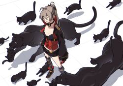 1girl ahoge aiguillette animal asymmetrical_footwear azur_lane belt black_belt black_cat black_choker black_jacket black_shorts boots breasts brown_hair cat choker cleavage collarbone corset cropped_jacket cross-laced_clothes earrings from_above full_body gloves hair_between_eyes half_gloves hatski.sin high_ponytail highres jacket jean_bart_(azur_lane) jewelry long_hair long_sleeves looking_down medium_breasts midriff mismatched_footwear o-ring o-ring_choker ponytail red_gloves shadow short_shorts shorts sidelocks single_thighhigh sleeve_cuffs small_breasts solo standing striped_clothes striped_thighhighs thighhighs tile_floor tiles too_many vertical-striped_clothes vertical-striped_thighhighs white_background