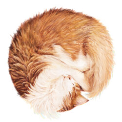 animal animal_focus artist_name brown_fur cat closed_eyes closed_mouth commentary_request highres kamimon2016 no_humans original simple_background sleeping white_background
