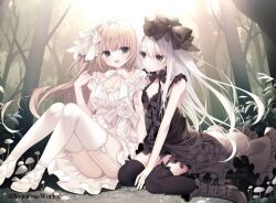 2girls bare_shoulders between_legs black_bow black_dress black_thighhighs black_vs_white blush bow bow_legwear breasts brown_hair cleavage closed_mouth commentary day dress dress_bow dress_flower expressionless floating_hair flower forest frilled_dress frills full_body grey_eyes hair_bow hand_between_legs hand_up inugami_kira knees_up long_hair looking_at_another looking_at_viewer medium_breasts multiple_girls nature on_ground open_mouth original outdoors purple_eyes rose sitting sleeveless sleeveless_dress small_breasts straight_hair symbol-only_commentary thighhighs twitter_username very_long_hair wariza watermark white_bow white_dress white_flower white_hair white_rose white_thighhighs zettai_ryouiki