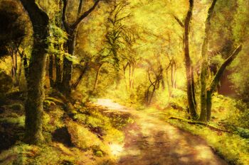 Rule 34 | absurdres, chinese commentary, commentary request, day, forest, highres, nature, no humans, original, outdoors, path, road, scenery, tree, yellow theme, zaq (pgvc4472)