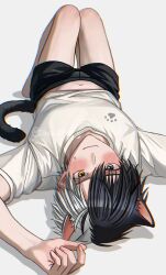 Rule 34 | 1boy, animal ears, bare legs, black hair, black shorts, black tail, blush, cat boy, cat ears, cat tail, grey hair, heterochromia, highres, hyohls2 (hamao3o), looking at viewer, lying, male focus, multicolored hair, navel, open clothes, open shirt, sakura haruka (wind breaker), shirt, short hair, shorts, solo, split-color hair, stomach, tail, white shirt, wind breaker (nii satoru)