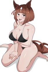 Rule 34 | 1girl, :p, animal ears, arm under breasts, barefoot, bikini, black bikini, breasts, brown hair, cleavage, commentary request, ear ornament, highres, horse ears, horse girl, horse tail, large breasts, miya nns35, multicolored hair, navel, on ground, open mouth, red eyes, short hair, simple background, sitting, smile, solo, stomach, streaked hair, swimsuit, tail, tongue, tongue out, transcend (umamusume), umamusume, wariza, white background, white hair