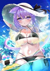 1girl animal_ears bikini black_bikini blush breasts cat_ears cat_girl cat_tail cowboy_shot hat highres hololive komiojisan large_breasts medium_hair nekomata_okayu onigirya_(nekomata_okayu) partially_submerged purple_eyes purple_hair purple_tail side-tie_bikini_bottom slit_pupils solo_focus standing straw_hat summer swimsuit tail virtual_youtuber