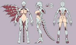 1girl angel_at_dusk arms_at_sides ass breasts carapace claws flat_color from_behind from_side full_body highres medium_breasts monster_girl multiple_views navel nipples official_art reference_sheet simple_background solo standing tail toguromaki_kumoyuki wings