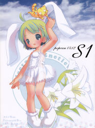 1girl absurdres ahoge blush chemise copyright_request female_focus flower green_eyes green_hair highres lily_(flower) loli matching_hair/eyes panties pop see-through_clothes short_hair solo source_request tiger underwear white_panties