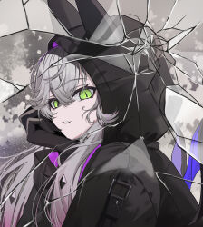 1girl black_jacket breasts crossed_bangs demon_girl demon_horns demon_wings fate/grand_order fate_(series) green_eyes grey_hair hair_between_eyes hood horns jacket lilith_(fate) lilith_(first_ascension)_(fate) long_hair long_sleeves looking_at_viewer low_twintails medium_breasts neko_daruma parted_lips smile twintails wings