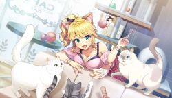 1girl :3 animal_ears ball blonde_hair bra bra_peek breasts cafe calico cat cat_cafe cat_teaser cat_tower cleavage day dolphin_wave fake_animal_ears game_cg green_eyes grey_cat highres izumi_kiri medium_breasts non-web_source official_art one_side_up ootomo_takuji open_mouth orange_cat pink_shirt playing purple_bra shirt skirt smile solo underwear white_cat
