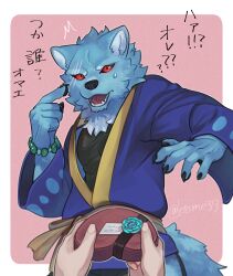1boy 1other aizawa_(nh_st) black_shirt blue_fur blue_kimono body_fur box box_of_chocolates claws commentary_request cowboy_shot furry furry_male gift heart-shaped_box highres holding holding_gift japanese_clothes kimono looking_at_viewer male_focus open_mouth original pink_background pov red_eyes shirt simple_background standing tail translation_request valentine wolf_boy