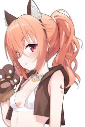 Rule 34 | 1girl, :3, :q, absurdres, animal ear hairband, animal ears, animal hands, bare shoulders, blush, bra, breasts, brown hairband, brown vest, chain, chain necklace, closed mouth, collarbone, commentary, eyes visible through hair, fake animal ears, fur-trimmed gloves, fur trim, gloves, hair between eyes, hairband, halloween costume, hand up, highres, inaba meguru, jewelry, lcz, long hair, looking at viewer, necklace, official alternate costume, official alternate hairstyle, open clothes, open vest, orange hair, paw gloves, red eyes, sanoba witch, simple background, small breasts, smile, smug, solo, symbol-only commentary, tongue, tongue out, twintails, underwear, upper body, v-shaped eyebrows, vest, wavy hair, werewolf costume, white background, white bra, wolf ears