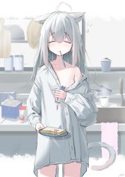 Rule 34 | 1girl, absurdres, ahoge, animal ears, bag, blush, borrowed clothes, bowl, bread, bread slice, cat ears, cat girl, cat tail, celia 1315, closed eyes, coffee mug, counter, cup, cutting board, failure, food, frying pan, grey hair, highres, holding, holding plate, indoors, kitchen, long hair, long sleeves, mouth hold, mug, naked shirt, off shoulder, original, oversized clothes, plant, plastic bag, plate, potted plant, shirt, sink, sleepy, solo, sponge, squeans, steam, tail, tearing up, toothbrush, toothbrush in mouth, toothpaste, you&#039;re doing it wrong