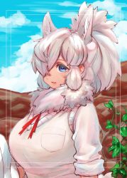 1girl alpaca_ears alpaca_suri_(kemono_friends) alternate_hairstyle animal_ear_fluff animal_ears big_hair blue_eyes breast_pocket day extra_ears female_focus fur_collar hair_over_one_eye high_ponytail highres horizontal_pupils kemono_friends light_smile long_hair looking_at_viewer neck_ribbon notora outdoors parted_bangs parted_lips pocket ponytail ribbon shirt short_sleeves sidelocks solo sweater_vest upper_body white_hair