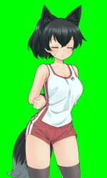 1girl animal_ears arms_behind_back bad_id bad_twitter_id black_hair bound bound_arms breasts closed_eyes green_background highres kanaya_azami large_breasts socks sportswear thighhighs ukagaka volleyball_uniform zee_(zee_sub)