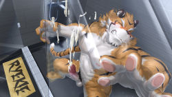 1boy abs animal_ears bara beige_fur completely_nude cum ejaculation erection facial_hair foot_out_of_frame foreshortening furry furry_male goatee grin highres large_pectorals live_a_hero looking_at_viewer male_focus male_pubic_hair mature_male muscular muscular_male navel nipples no_mask nude orange_fur pectorals penis projectile_cum pubic_hair ryekie_(live_a_hero) short_hair skarltano smile solo stomach tail thick_eyebrows tiger_boy tiger_ears tiger_tail twitching_penis uncensored