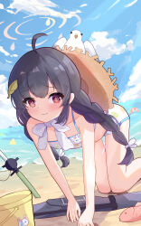 1girl aaaaabk! absurdres animal animal_on_head beach bird bird_on_head black_hair blue_archive blue_sky blush bow closed_mouth cloud day hat highres loli long_hair looking_at_viewer miyu_(blue_archive) miyu_(swimsuit)_(blue_archive) ocean on_head red_eyes sand sky solo solo_focus swimsuit water white_bird