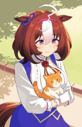 1girl ahoge animal_ears blue_dress blush bow breasts brown_hair cat closed_mouth dress ear_ribbon gloves hair_between_eyes hairband highres horse_ears horse_girl horse_tail large_breasts long_sleeves medium_hair meisho_doto_(umamusume) multicolored_hair nyaivie outdoors pink_hairband purple_eyes ribbon smile tail two-tone_hair umamusume white_dress white_gloves white_hair