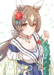1girl absurdres animal_ears blue_hakama blush breasts brown_hair choker cleavage closed_mouth ear_covers flower fuusuke_(fusuke208) hair_flower hair_ornament hakama hand_up highres hip_vent horse_ears japanese_clothes kimono long_hair long_sleeves looking_at_viewer medium_breasts orange_eyes petals satono_diamond_(floral_star_prosperous_green)_(umamusume) satono_diamond_(umamusume) simple_background smile solo twitter_username umamusume upper_body white_background white_kimono wide_sleeves