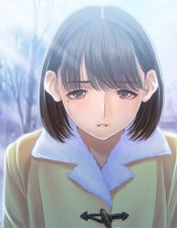 1girl anegasaki_nene bare_tree blush brown_hair coat duffel_coat furrowed_brow half-closed_eyes highres light_rays looking_down love_plus medium_hair mole mole_under_eye official_art outdoors parted_lips purple_eyes sad solo sunbeam sunlight tree upper_body winter yellow_coat
