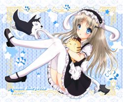 1girl animal_ears belka blouse blue_eyes cat character_name cosplay dog doruji female_focus fleur_de_lapin_uniform gochuumon_wa_usagi_desu_ka? hairband highres kirima_syaro kirima_syaro_(cosplay) little_busters! long_hair maid mary_janes mogupuchi noumi_kudryavka rabbit_ears shirt shoes silver_hair solo strelka thighhighs waitress white_shirt white_thighhighs