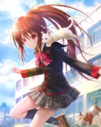 Rule 34 | 1girl, black socks, blazer, blush, brown hair, building, cat, cloud, commentary request, day, expressionless, goto p, jacket, jumping, little busters!, loafers, long hair, looking at viewer, natsume rin, outdoors, plaid clothes, plaid skirt, ponytail, red eyes, school uniform, shoes, skirt, sky, socks, solo, sunlight