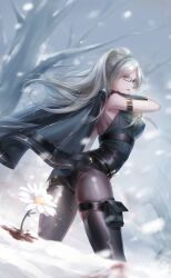Rule 34 | 1girl, arm belt, artist request, asymmetrical footwear, bare shoulders, bare tree, belt, belt bag, belt buckle, black-framed eyewear, black bag, black boots, black gloves, black jacket, black leotard, blood, blood stain, boots, breasts, brown pantyhose, buckle, carrying over shoulder, cloud, cloudy sky, cowboy shot, daisy (flower), floating hair, flower, game cg, glasses, gloves, grey eyes, grey hair, high ponytail, highres, holding, holding jacket, holding unworn clothes, jacket, large breasts, leotard, lipstick, long hair, looking at viewer, makeup, multiple belts, nikki (series), official art, outdoors, pantyhose, parted bangs, parted lips, pink lips, ponytail, shining nikki, shoulder blades, single thigh boot, sky, snow, snowing, solo, standing, storm, teeth, thigh boots, tree, unworn jacket, wading, wavy hair, white flower, winter, wrist belt, zoey (shining nikki)