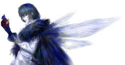 1boy absurdres apple arthropod_boy arthropod_limbs blue_eyes bug butterfly cape centipede crown diamond_hairband dragonfly_wings fate/grand_order fate_(series) food fruit fur-trimmed_cape fur_trim grey_hair highres holding holding_food holding_fruit insect insect_wings long_sleeves looking_at_viewer male_focus oberon_(fate) oberon_(third_ascension)_(fate) pppeipeipipi profile rotten shirt short_hair solo upper_body white_shirt wings