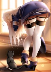 1girl 86_-eightysix- ankle_boots antenna_hair ass black_cat blue_boots blue_jacket boots cat fold-over_boots from_behind garter_belt garter_straps grey_eyes hand_on_own_neck hat high_heel_boots high_heels highres holding holding_unworn_clothes holding_unworn_hat jacket long_hair long_sleeves looking_down military military_hat military_uniform signature skindentation solo standing thigh_strap thighhighs tp_(86_-eighty-six-) unworn_hat unworn_headwear vladilena_millize white_hair white_thighhighs window zasshu zettai_ryouiki