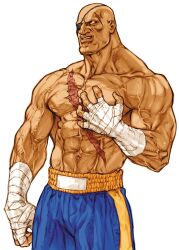 1boy bald capcom capcom_vs_snk_2 eyepatch game_cg hand_wraps highres looking_up male_focus muscular muscular_male nishimura_kinu non-web_source official_art parted_lips sagat scar scar_on_chest scar_on_face shorts solo street_fighter teeth upper_teeth_only veins veiny_arms white_background wrist_wrap