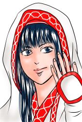 1girl blue_eyes blue_hair cloak fingerless_gloves gloves highres long_hair looking_at_viewer nakoruru pink_lips samurai_spirits snk solo the_king_of_fighters