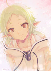 Rule 34 | 1girl, commentary request, elf, green hair, highres, hood, hoodie, looking at viewer, mushoku tensei, pointy ears, red eyes, smile, solo, sylphiette (mushoku tensei), upper body, yano takumi