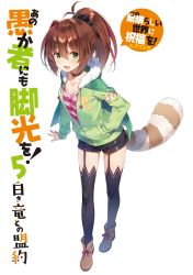 Rule 34 | 1girl, black thighhighs, bow, bowtie, brown hair, cape, choker, collarbone, female focus, full body, garter straps, green cape, green eyes, highres, kono subarashii sekai ni shukufuku wo!, lean (konosuba), long hair, long sleeves, looking at viewer, official art, open mouth, ponytail, raccoon tail, shiny clothes, shiny skin, shoes, shorts, simple background, smile, solo, standing, striped, tail, thighhighs, yuuki hagure, zipper, zipper pull tab