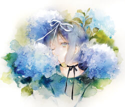 Rule 34 | 1girl, blue eyes, blue hair, bow, clip studio paint (medium), cropped torso, flower, green shirt, hydrangea, looking at viewer, niwa haruki, one eye closed, original, painting (medium), petals in mouth, shirt, short hair, sidelocks, simple background, traditional media, upper body, watercolor (medium), white background, white bow