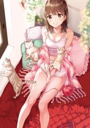 1girl :d absurdres animal bare_legs bare_shoulders barefoot blunt_bangs blush breasts brown_eyes brown_hair camisole cat cleavage collarbone commentary_request day feet_out_of_frame female_focus hair_ornament hairclip highres indoors long_hair looking_at_viewer matsuzaki_miyuki medium_breasts navel open_mouth original pillow plaid_clothes plaid_scarf scarf short_shorts shorts sitting smile solo spaghetti_strap stomach teeth wool
