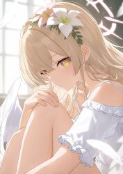 Rule 34 | 1girl, absurdres, blonde hair, blue archive, closed mouth, commentary, falling feathers, feathered wings, feathers, feet out of frame, fingernails, flower, hair flower, hair ornament, halo, hand on own knee, highres, indoors, knees up, kuchisode, long hair, nagisa (blue archive), off shoulder, red halo, sitting, solo, white wings, wings, yellow eyes