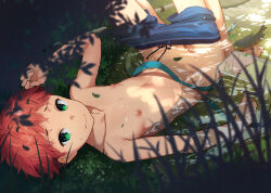 1boy blue_male_swimwear blurry blurry_foreground collarbone fish grass green_eyes highres konmamion looking_at_viewer lying male_focus male_swimwear male_swimwear_pull nature net nipples on_ground original partially_submerged penis penis_peek pond red_hair short_hair shota solo water wet