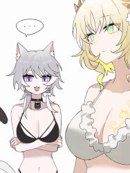 ... 2girls aglaea_(honkai:_star_rail) animal_ear_fluff animal_ears bikini black_bikini black_choker blonde_hair blue_eyes breast_tattoo breasts cat_ears cat_girl cat_tail choker cipher_(honkai:_star_rail) cleavage commentary_request crossed_arms gold_tattoo green_eyes grey_hair highres honkai:_star_rail honkai_(series) hsk10107 korean_commentary large_breasts multiple_girls navel simple_background spoken_ellipsis stomach swimsuit tail tattoo upper_body white_background white_bikini