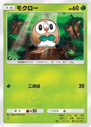 artist_name bird black_eyes border bright_pupils card_(medium) character_name closed_mouth commentary_request gen_7_pokemon light_rays mizutani_megumi nintendo no_humans pokemon pokemon_(creature) pokemon_card pokemon_focus pokemon_tcg pokemon_tcg_pocket rowlet solo translation_request tree tree_stump white_pupils