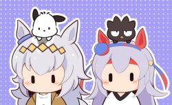 2girls animal animal_ears animal_on_head badtz-maru bird blue_background blue_hairband blush_stickers brown_jacket chibi commentary_request dog gomashio_(goma_feet) grey_hair hair_between_eyes hairband headband horse_ears jacket multicolored_hair multiple_girls oguri_cap_(umamusume) on_head open_clothes open_jacket outline pochacco polka_dot polka_dot_background red_headband sanrio shirt tamamo_cross_(umamusume) two-tone_hair umamusume upper_body white_hair white_outline white_shirt |_|