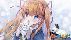 Rule 34 | 1girl, steamed bun, blue eyes, blue jacket, cat, copyright name, denim, denim jacket, eating, end card, food, hair ribbon, jacket, kaginado, kanon, long hair, long sleeves, looking at viewer, orange hair, pink ribbon, piro, ribbon, sawatari makoto, second-party source, tanihara natsuki, twintails, upper body